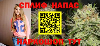 PSILOCYBIN Гусиноозёрск