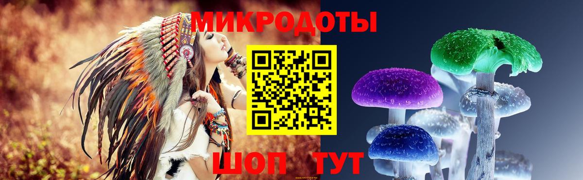 Киров  Псилоцибиновые грибы GOLDEN TEACHER  Вход с VPN 