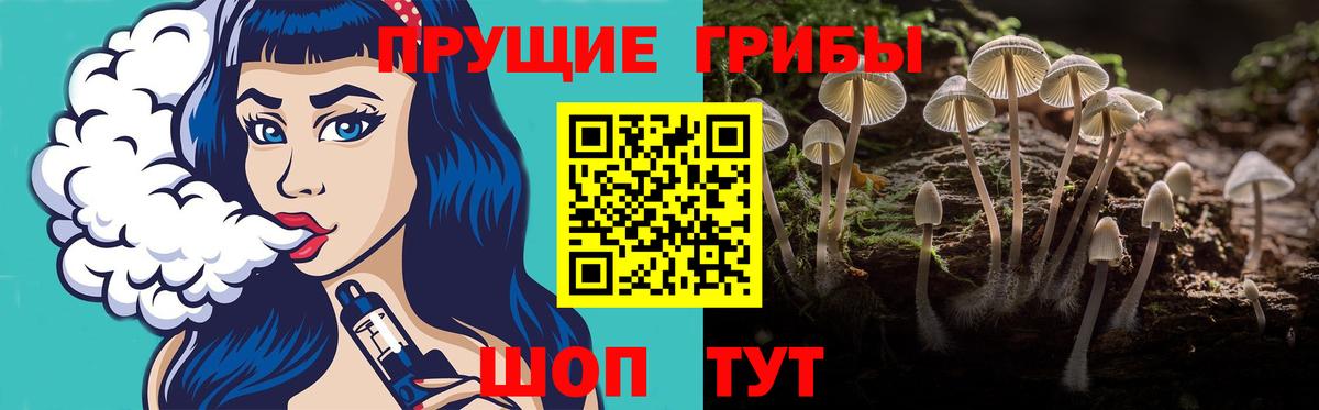 Псилоцибиновые грибы Magic Shrooms Киров